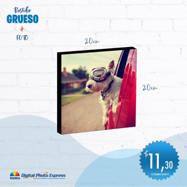 bastidores 20×20 incluye fotografía