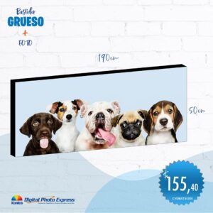 bastidor 50×190 incluye fotografía