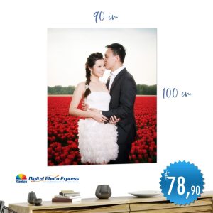 ampliación 90x100cm