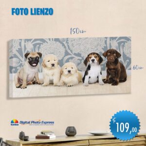 Foto lienzo 150x60cm
