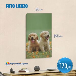 Foto lienzo 80x150cm