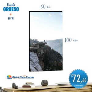 bastidores 50x101incluye fotografía (copia)